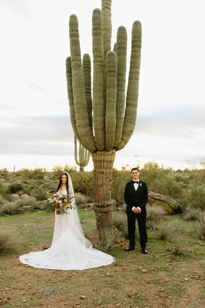 desert wedding at the paseo