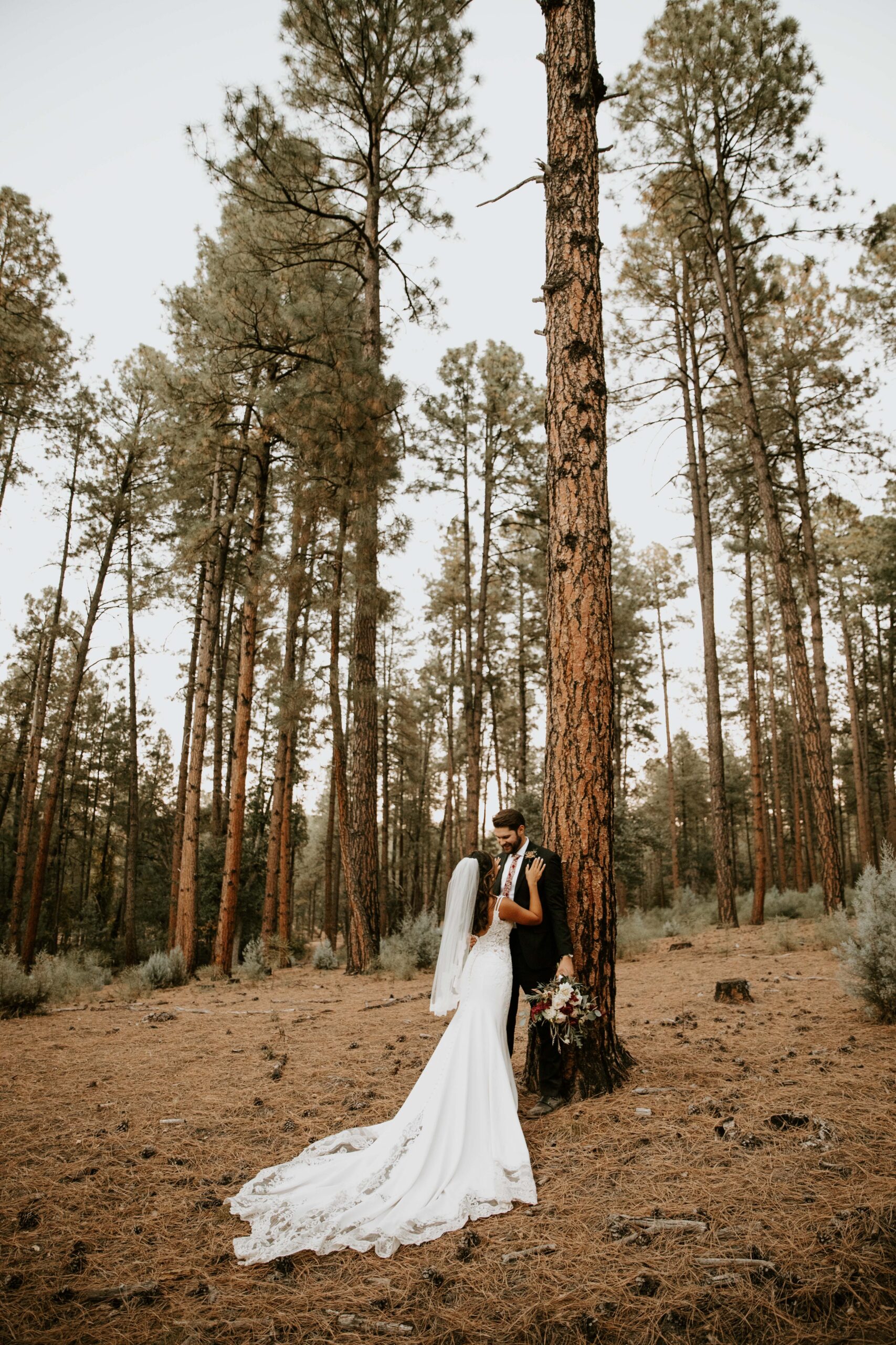 bride and groom portraits beneath the ponderosa pines in Payson, Arizona.